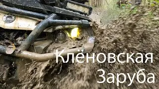 Кленовская заруба   4K