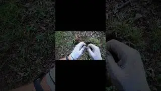 Вот такие приключения с металлоискателем #кладоискатели #история #коп  #metaldetecting