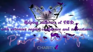 Purple Wings 2017