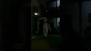 Расика Нам дас адхикари Торговка фруктами