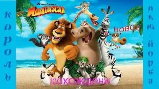 Мадагаскар /Madagaskar  Король Нью-Йорка