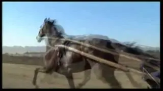 Varenne, un atleta chiamato cavallo - TRAILER