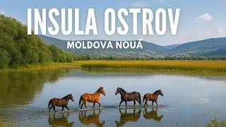Insula Ostrov din Moldova Nouă, Caraș-Severin 