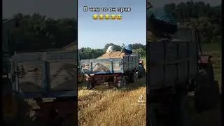 В чем то прав 