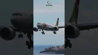 Beautiful AIRBUS A330 NEO Landing at Madeira Airport