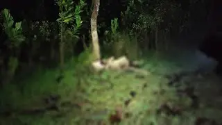Nyi Ronggeng Di Anu