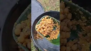 Корм на Дністровського САЗАНА🔥 