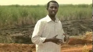 هيومن راتيس ووتش تتهم السلطات الإثيوبية بتهجيرالآلاف