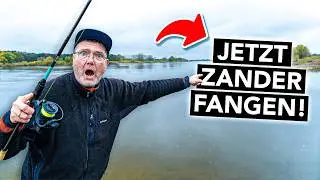 Zanderangeln im November 🎣 So fängst du im Herbst garantiert!