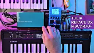 Sunday jam with Tulip, Reface DX and Zoom MS-70CDR+