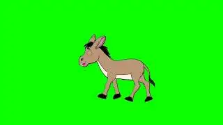 Donkey green screen no copyright free video/Donkey green screen video