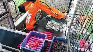 Mujin's 3D Picking robot 