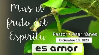 El Fruto Del Espiritu 121023