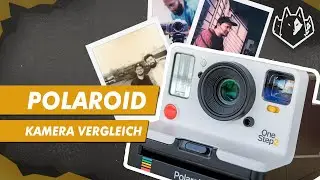 Wie gut sind eigentlich Sofortbildkameras? - Polaroid & Co | Shutterwolf