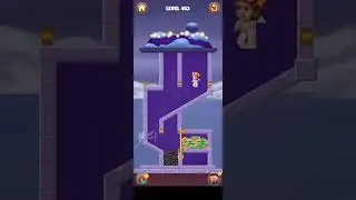 Home pin 2 level 453 