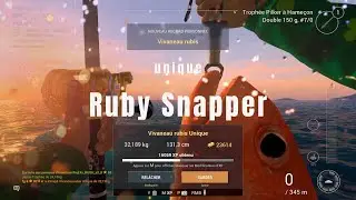RUBY SNAPPER - UNIQUE - VIVANEAU RUBIS - JAPAN