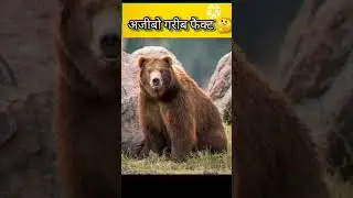 अजीबो गरीब चीजे 🤔#facts#amazing#entertainment#gaming