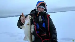 Ловля судака на реке Кама в районе Усть-Пизи |  Ловля судака на вибы .