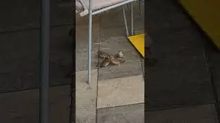 забота друг о друге #даниловскийрынок #любовь