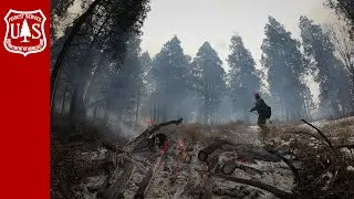 Forest Service’s National Prescribed Fire Resource Mobilization Strategy