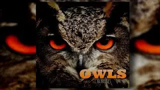 [FREE]Royalty Free Loops For Beats| LoopKit | OwlsVol.1 (Drake, Dark, Ambient)