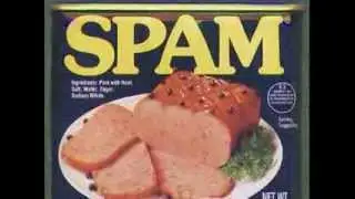 SPAM song