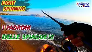 LIGHT SPINNING - I PADRONI DELLE SPIAGGE !!!