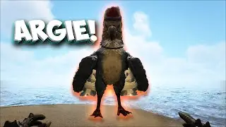 A New Start and Taming Argies! Road to the Island Map Completion