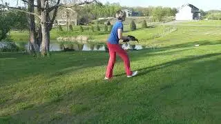 Yakety Ducks