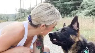 Funny German Shepherd - I’m SORRY Mom! 😂