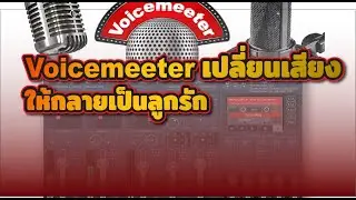 Voicemeeter เปลี่ยนเสียงให้กลายเป็นลูกรัก