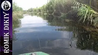 Summer fishing on the river Topar. Video from the archive. (August 17-19, 2018).