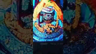 mahashivratri special #mahakal #mahadevstatus #mahashivratri #omnamahshivaya #shorts