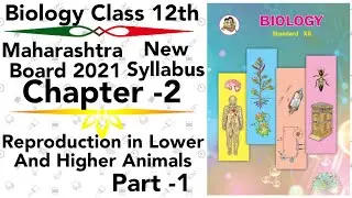 part-1 ch2 Reproduction in lower & higher Animals class 12 science new syllabus maharashtra board