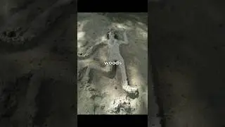 UNEXPECTED things found in WOODS! 😨🪵
