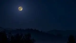 Childish Gambino - Human Sacrifice (Google Pixel 3 