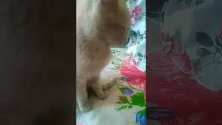 Я этот трек обожаю а вы?