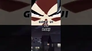GOKU vs BAKI