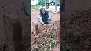 Goodbye, Bego!