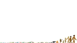 simple human evolution (size comparison included)