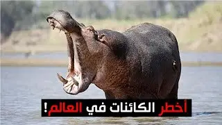 أخطر الكائنات على وجه الأرض !! رقم 7 قتل أكثر من 500 مليون شخص