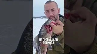 Grayling tears tackle