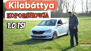 Kilabáttya koporshowja!!