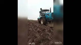 2 октября 2022 г.