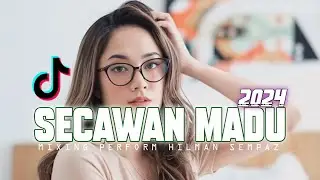 JOGET SECAWAN MADU MIXING 2024