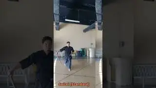 Seitei Iaido for 一本目: Watch until the end of this video if you like to know more. Yeaaaaaahhhh! 🤘