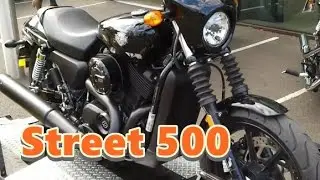 Street 500 Harley-Davidson