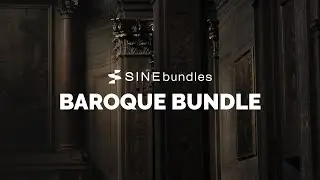 The Baroque bundle on SINE