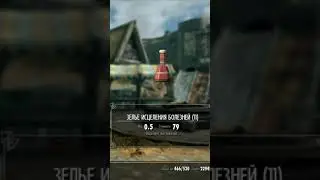 Лайфхак Skyrim: Как излечится от болезней 