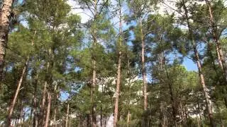 A Land in Balance
